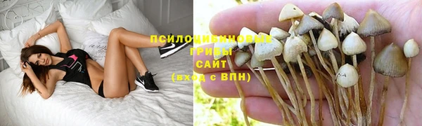 трава Заводоуковск