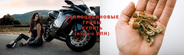 трава Заводоуковск
