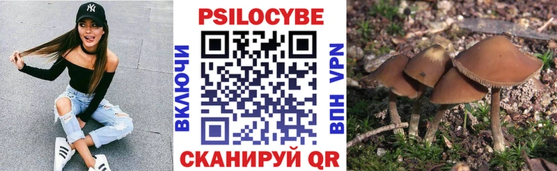 Псилоцибиновые грибы мицелий  Кизляр 